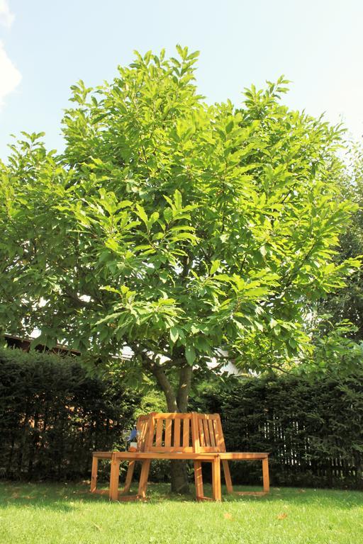 오버호프 Haus Sonnenruh 아파트 외부 사진